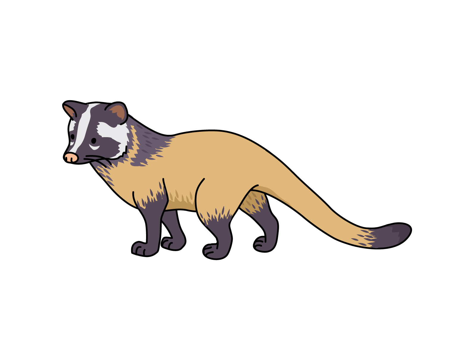 ハクビシン撃退!安心生活ガイド